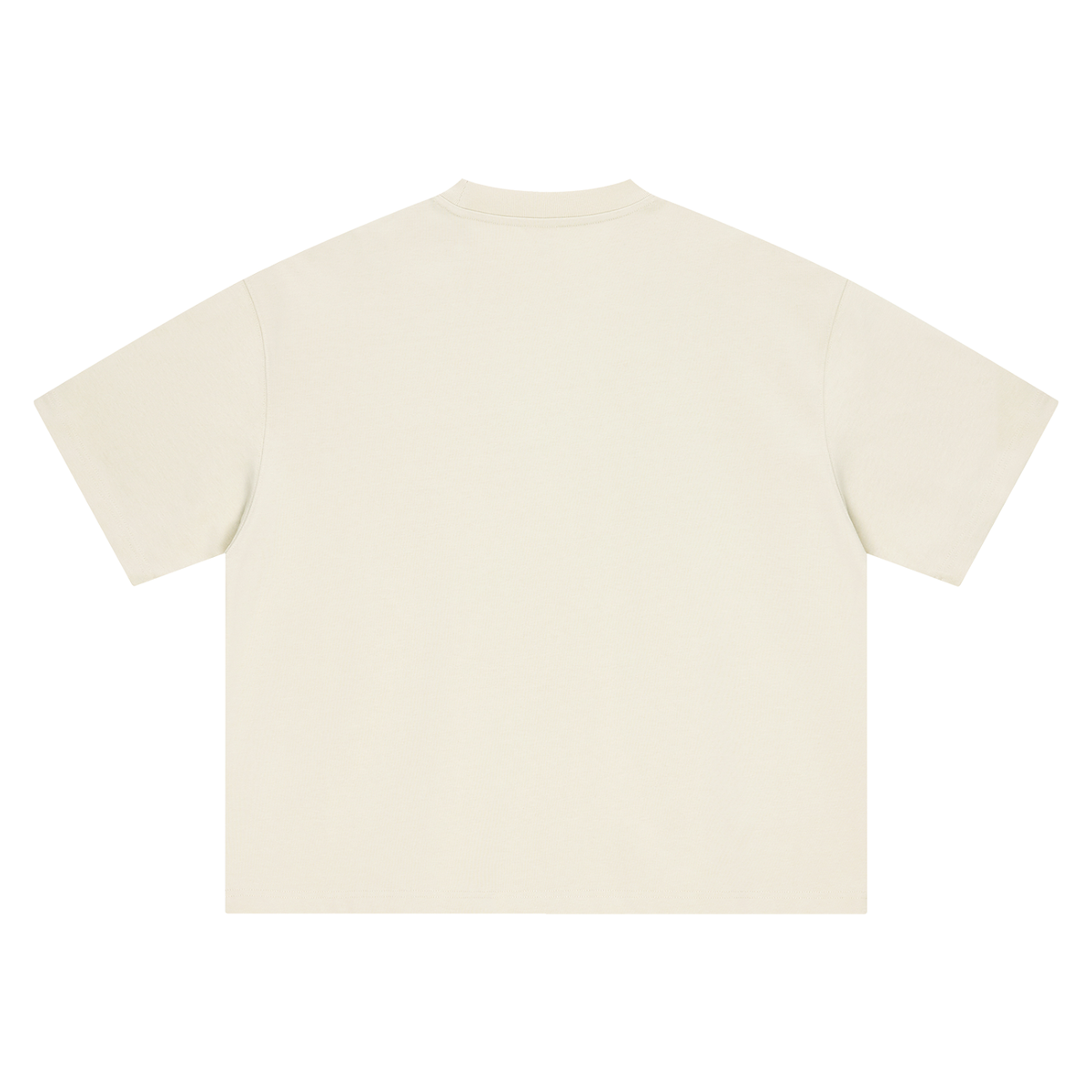 Boxy Oversized T-Shirt (no back)